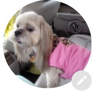 Meet your Posher, Marie